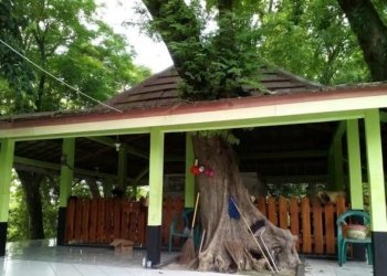 Sayyid Abdullah Mliwang, Mbah Buyutnya Para wali Tanah Nusantara?