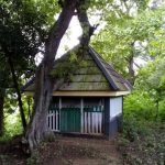 Sayyid Abdullah Mliwang dan Tradisi di Desa Mliwang