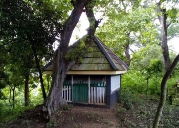 Sayyid Abdullah Mliwang dan Tradisi di Desa Mliwang