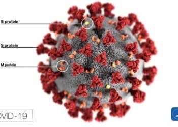 Covid-19 dan Perilaku Lokal