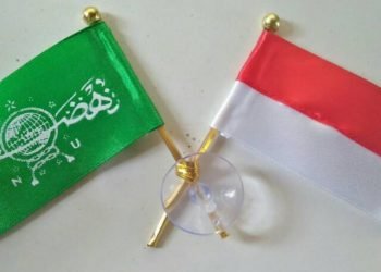 Mengenai Pilkada, Kader NU yang Maju Mewakili Siapa?