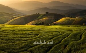 Sejauh Kaki Melangkah, Aku Akan Akan Kembali