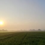 Membahas Tentang Fenomena Pondok, Barokah, dan Wacananya