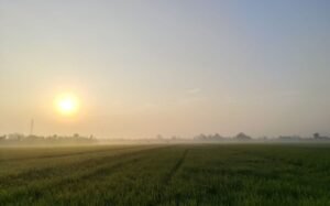 Membahas Tentang Fenomena Pondok, Barokah, dan Wacananya
