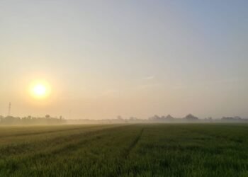 Membahas Tentang Fenomena Pondok, Barokah, dan Wacananya