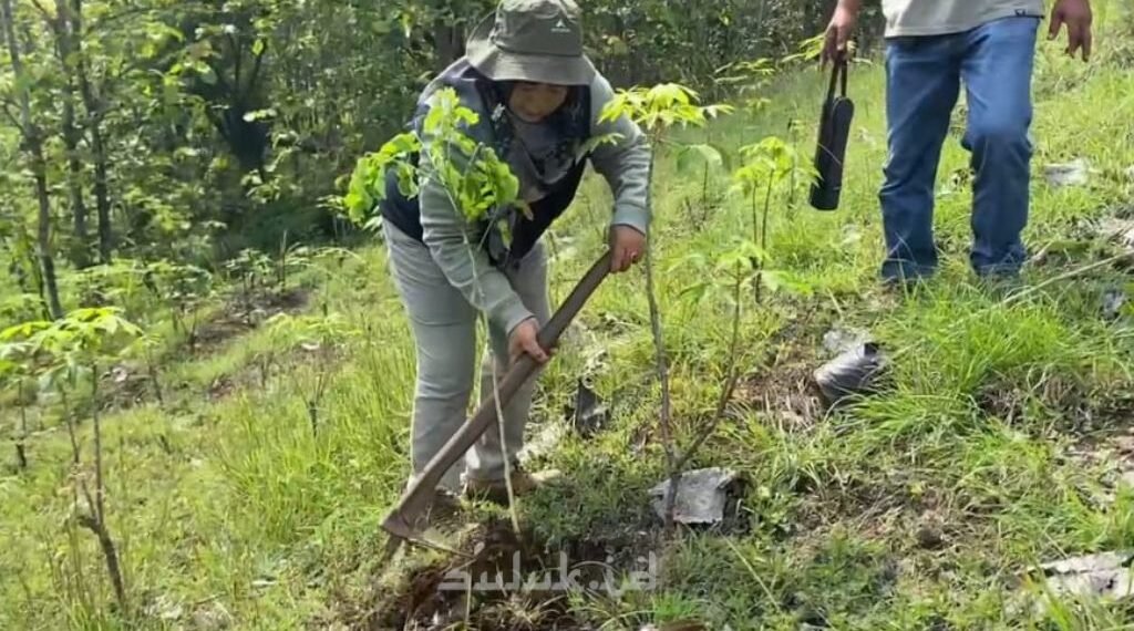 Penanaman 300 Pohon Trembesi di Sekitar Candi Dadi: Langkah Awal Gerakan TUNGGALROGO MANDIRI untuk Pulihkan Sumber Air