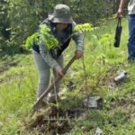 Penanaman 300 Pohon Trembesi di Sekitar Candi Dadi: Langkah Awal Gerakan TUNGGALROGO MANDIRI untuk Pulihkan Sumber Air