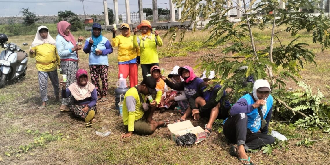 Galang Donasi Pembangunan Masjid Cara Unik, Panitia Tanam Jagung