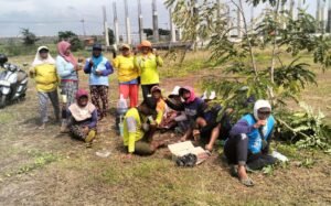 Galang Donasi Pembangunan Masjid Cara Unik, Panitia Tanam Jagung