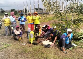 Galang Donasi Pembangunan Masjid Cara Unik, Panitia Tanam Jagung