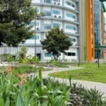 Dari Drainase ke Kesadaran Ekologis: Bioswale UIN SATU Tulungagung dan Perubahan Cara Kampus Memandang Alam