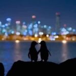 Hari Kartini dan Laki-Laki yang Boleh Menangis